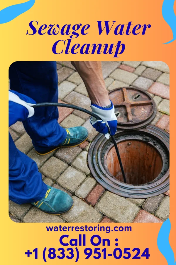 Sewage Water Cleanup in French Settlement, LA
